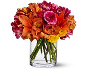 Lamp Light Florist And Gift, Sewell, New Jersey - Watercolor Wonder, picture