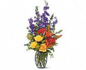 Lamp Light Florist And Gift, Sewell, New Jersey - Colorful Sensation, picture