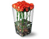Lamp Light Florist And Gift, Sewell, New Jersey - Orange Roses with River Rocks, picture