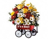 Lamp Light Florist And Gift, Sewell, New Jersey - Teleflora's Baby's First Wagon, picture