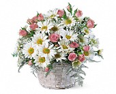 Lamp Light Florist And Gift, Sewell, New Jersey - Posy Basket, picture