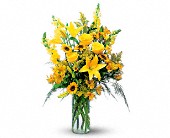 Lamp Light Florist And Gift, Sewell, New Jersey - Burst of Yellow, picture