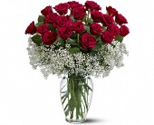 Lamp Light Florist And Gift, Sewell, New Jersey - Field of Roses, picture