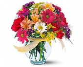 Lamp Light Florist And Gift, Sewell, New Jersey - Joyful and Thrilling, picture