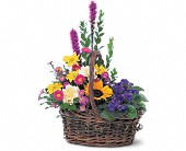 Lamp Light Florist And Gift, Sewell, New Jersey - Basket of Glory, picture