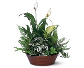 Lamp Light Florist And Gift, Sewell, New Jersey - White Garden, picture