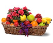 Lamp Light Florist And Gift, Sewell, New Jersey - Plant and Fruit Basket, picture