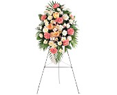 Lamp Light Florist And Gift, Sewell, New Jersey - Gentle Thoughts Spray, picture