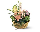Lamp Light Florist And Gift, Sewell, New Jersey - Peach Tribute Garden, picture