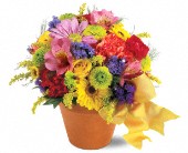 Lamp Light Florist And Gift, Sewell, New Jersey - Teleflora's Fresh Blossom Potpourri, picture