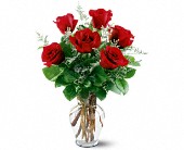 Lamp Light Florist And Gift, Sewell, New Jersey - 6 Red Roses, picture