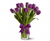 Lamp Light Florist And Gift, Sewell, New Jersey - Spring Tulips - Purple, picture