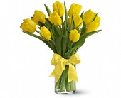 Lamp Light Florist And Gift, Sewell, New Jersey - Spring Tulips - Yellow, picture
