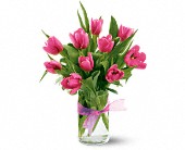 Lamp Light Florist And Gift, Sewell, New Jersey - Spring Tulips - Hot Pink, picture