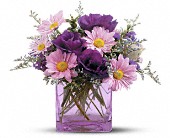 Lamp Light Florist And Gift, Sewell, New Jersey - Teleflora's Lavender Sunset Bouquet, picture